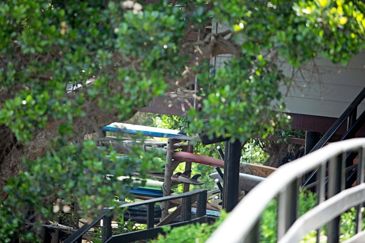 Wilderness Beach House Backpackers Lodge Εξωτερικό φωτογραφία