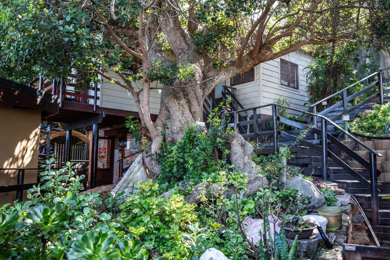 Wilderness Beach House Backpackers Lodge Εξωτερικό φωτογραφία