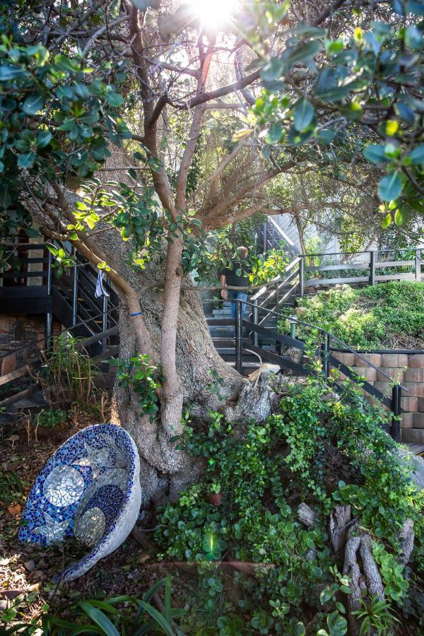 Wilderness Beach House Backpackers Lodge Εξωτερικό φωτογραφία
