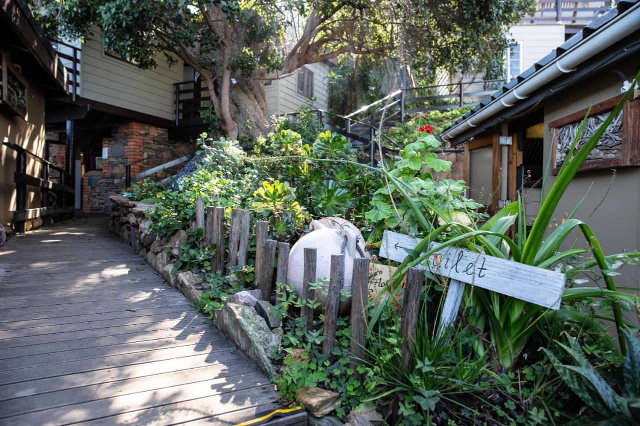 Wilderness Beach House Backpackers Lodge Εξωτερικό φωτογραφία