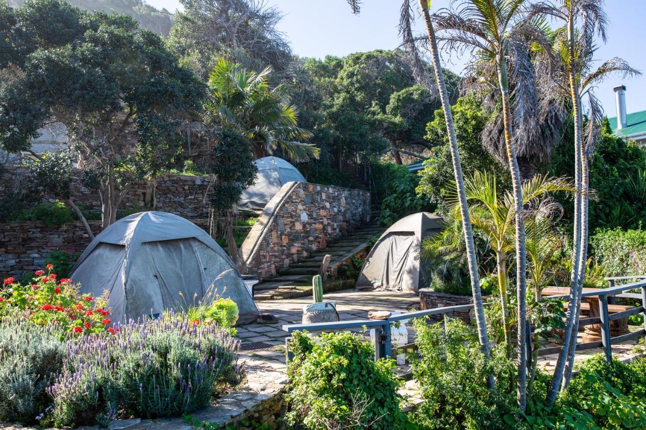 Wilderness Beach House Backpackers Lodge Εξωτερικό φωτογραφία